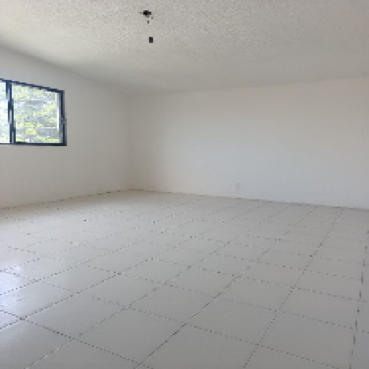 Renta de Casa sola en Carretas - 14